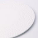 จานพอร์ซเลนอุกกาบาตพื้นเรียบ 10 นิ้ว